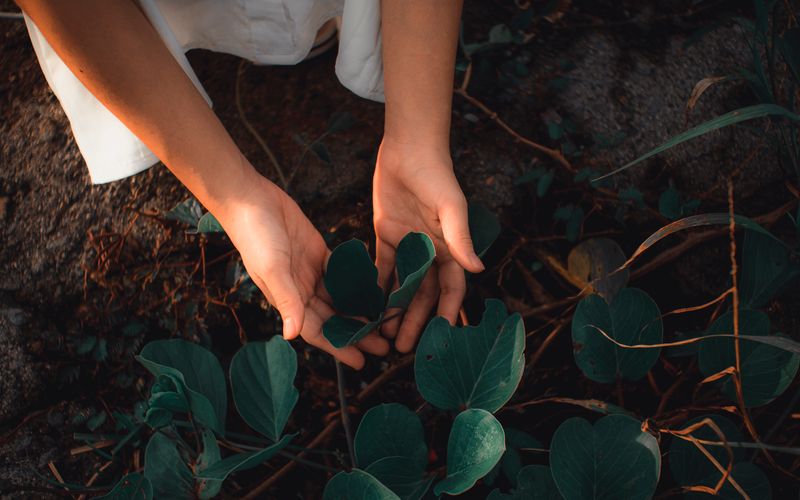 Featured image for “5 Lead Nurturing Strategies That Actually Work”: Lead Nurturing