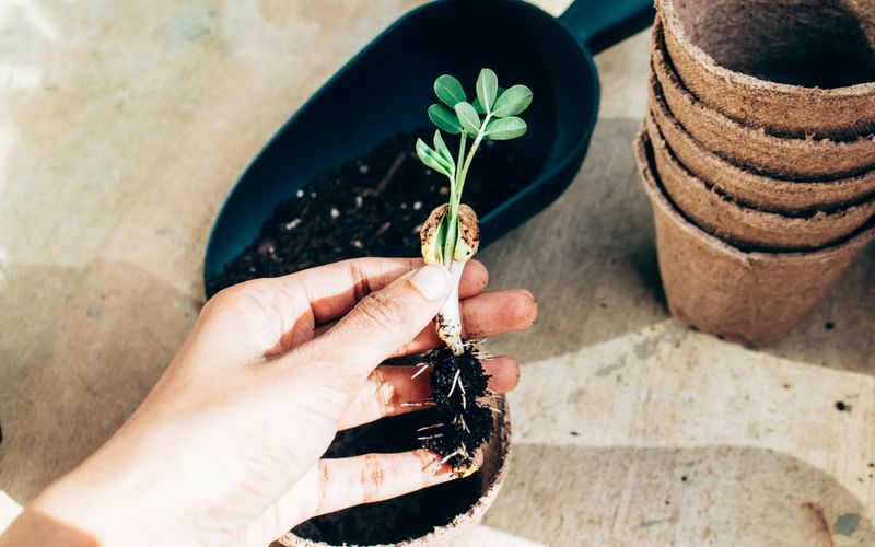 Featured image for “Mastering Lead Nurturing: A Marketer's Playbook”: Lead Nurturing