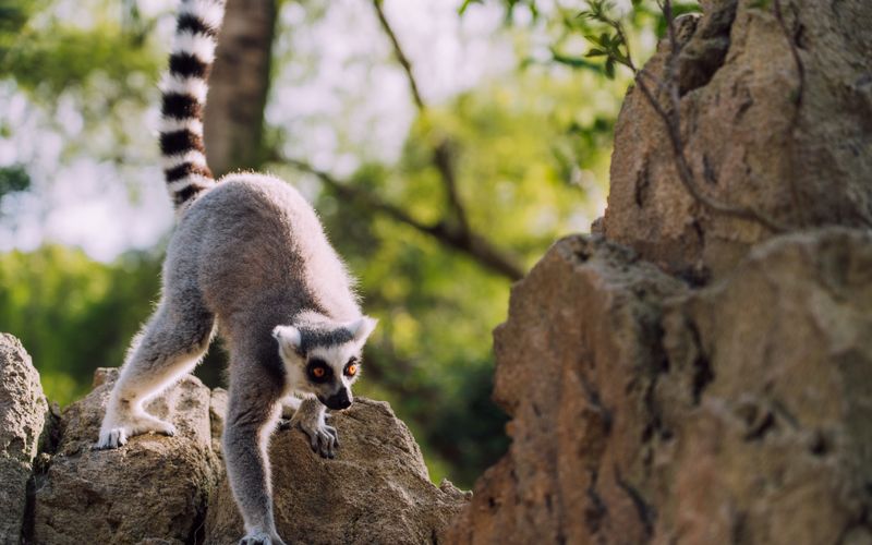 Featured image for “Mastering The Long Tail: A Marketer's Playbook”: The Long Tail